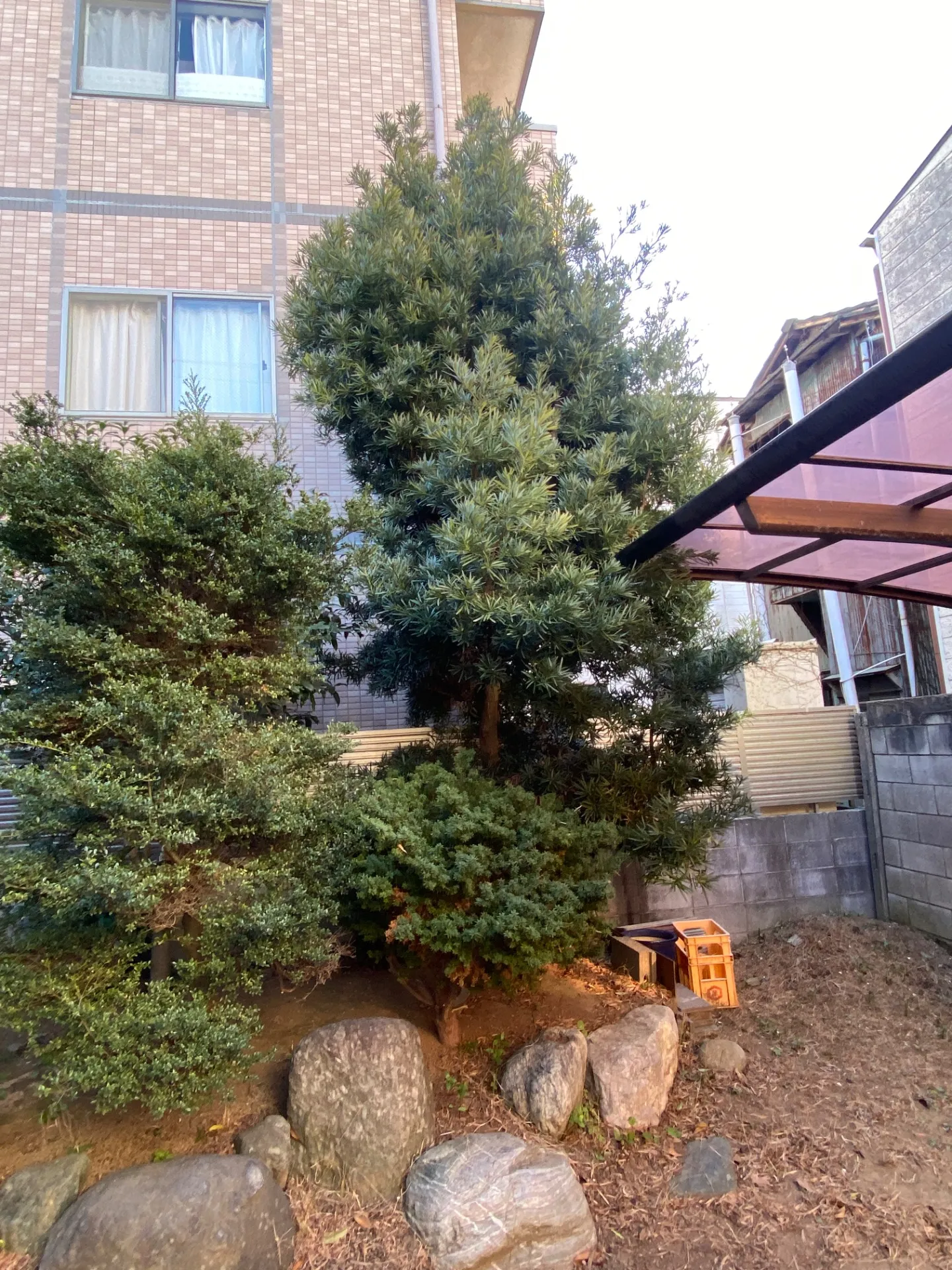 空き家になったしまった